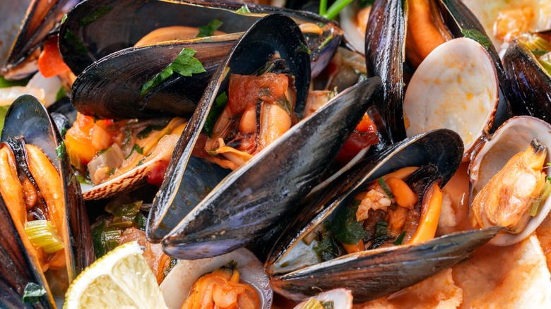 Mussel and clam soup