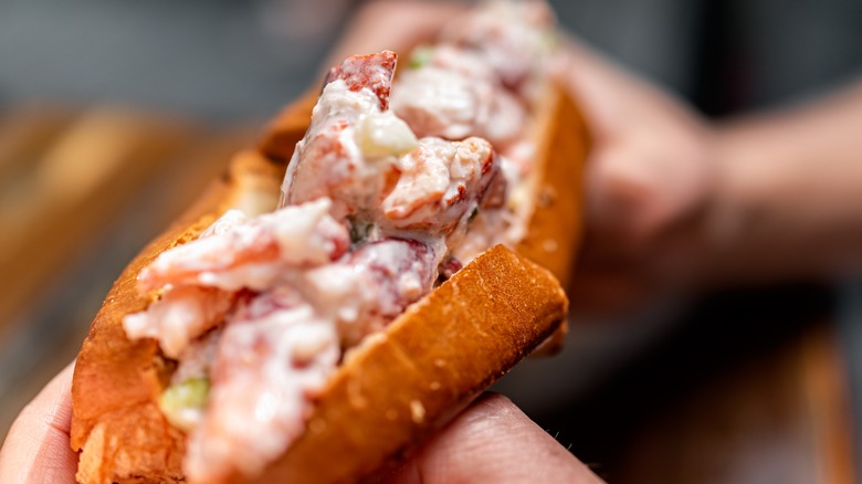 close up of Maine lobster roll