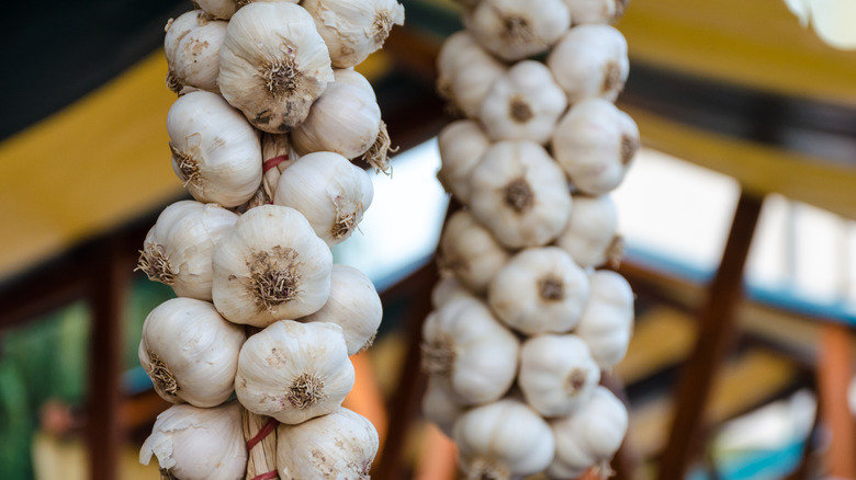 garlic braids hanging in room