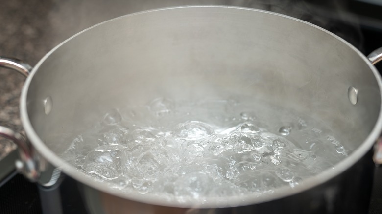 Boiling pot of water