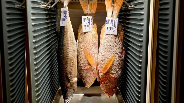 whole fish hanging in dry ager