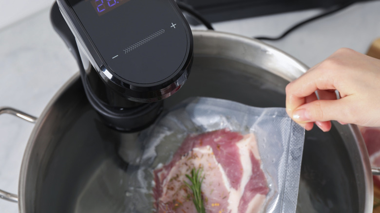 A person placing a steak into a pot with an immersion circulator