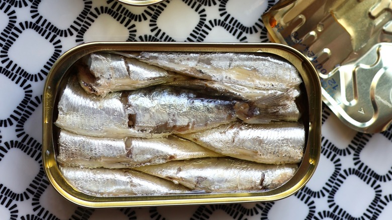 Tin of sardines