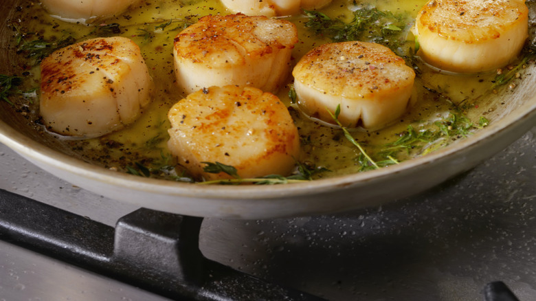 Seared scallops in a pan