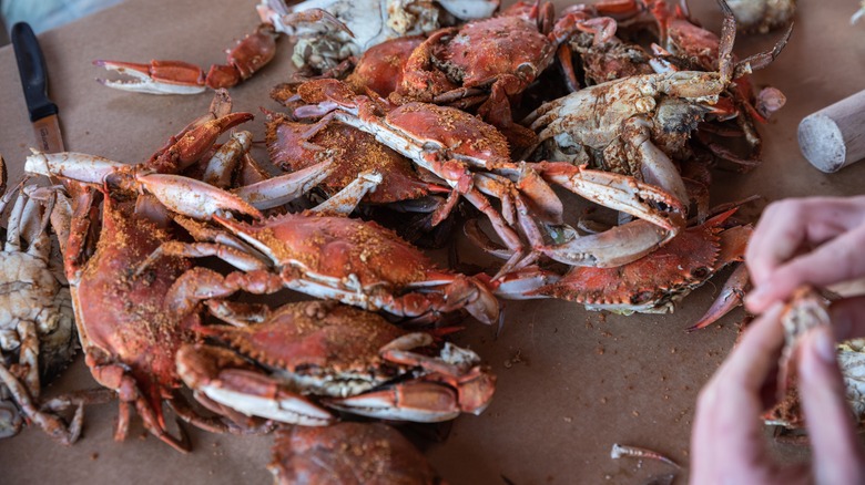 Maryland crab feast