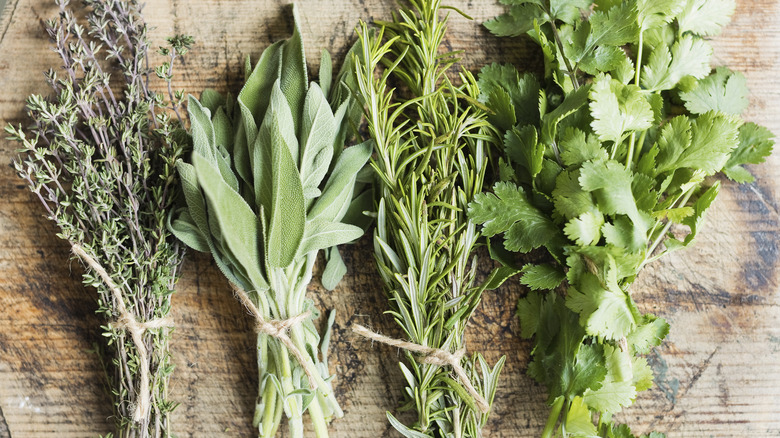 herbs on a wooden cutting board