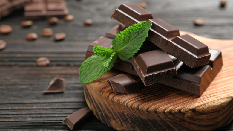 Dark chocolate squares are presented with mint