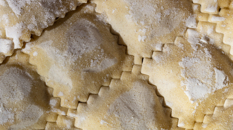 Frozen ravioli up close