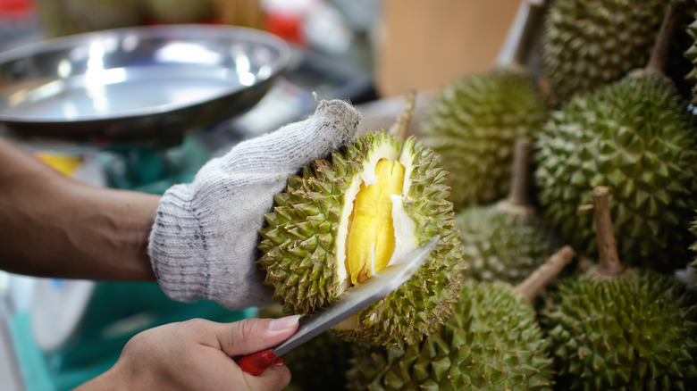 gloved hand cutting durian