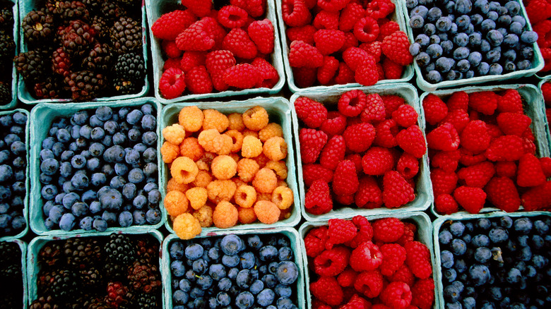 Fresh berry varieties displayed in berry baskets