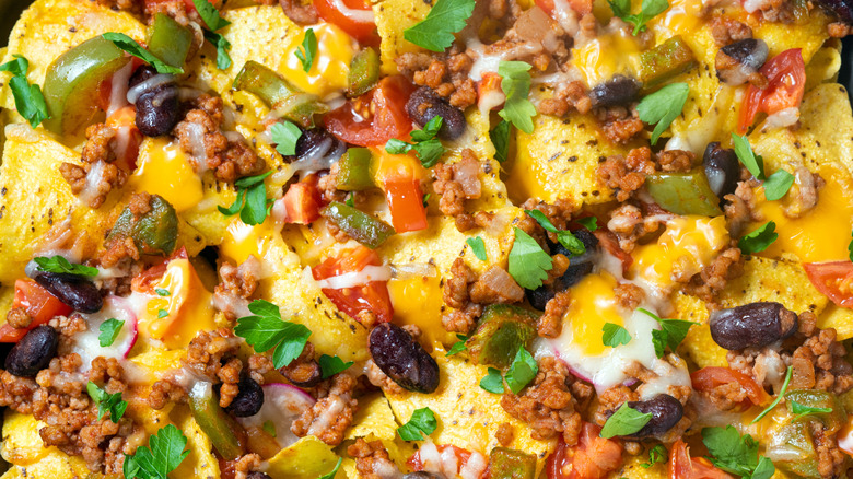 A closeup of nachos supreme