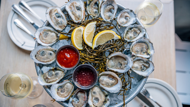 Raw oysters at Fives Bar