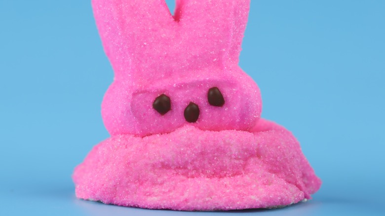 A sumushed pink bunny Peep