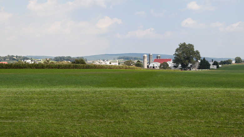 Farm in Lancaster, Pennsylvania