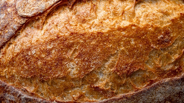 closeup of sourdough bread crust