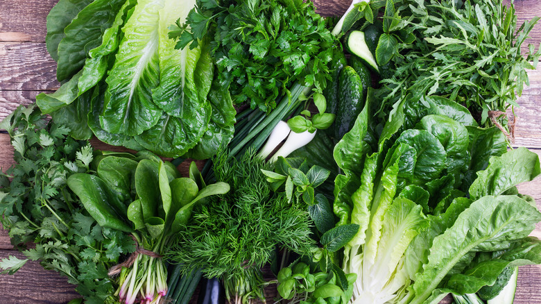 Leafy greens on a table