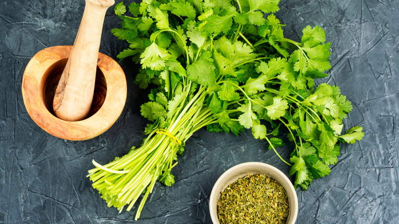 Bunch of cilantro fresh and and dried in a bowl