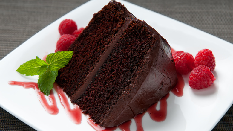 Chocolate cake slice with raspberry sauce and mint