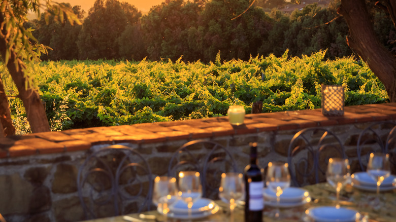 Table at an Italian vineyard