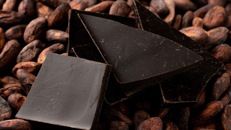 Dark chocolate with cacao in background
