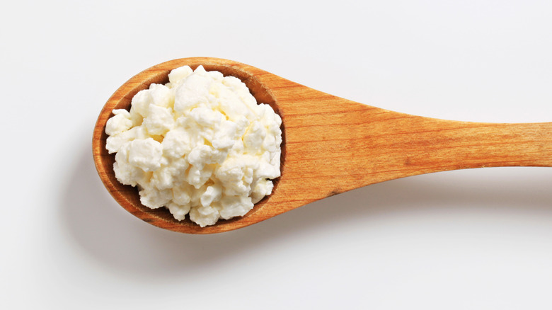 cottage cheese on wooden spoon 