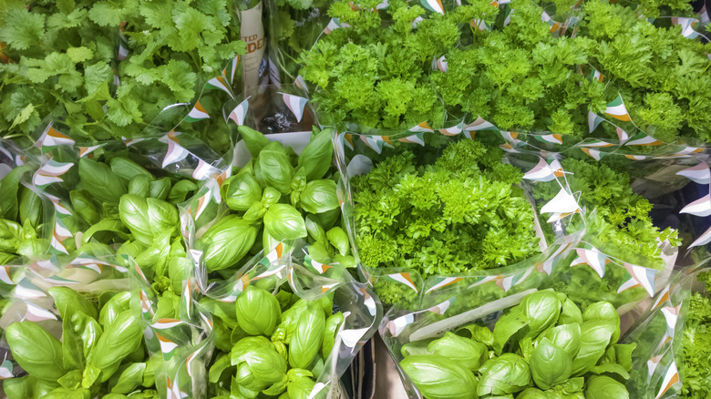 Fresh herbs at grocery store