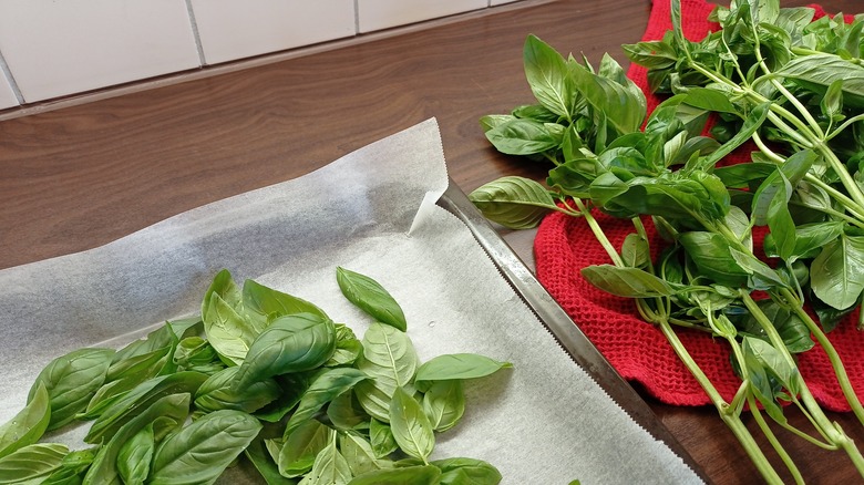 Fresh basil