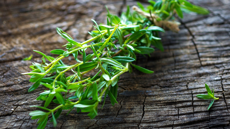 summer savory sprig on a rustic wood surface