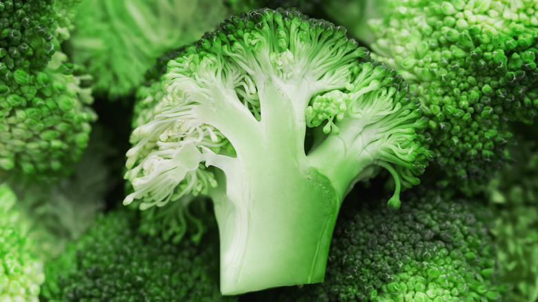 A close-up of broccoli