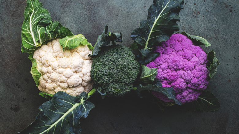 White cauliflower head, broccoli head, and purple cauliflower head against black background