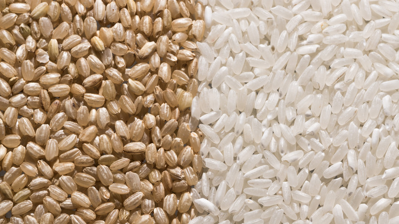 Brown and white rice