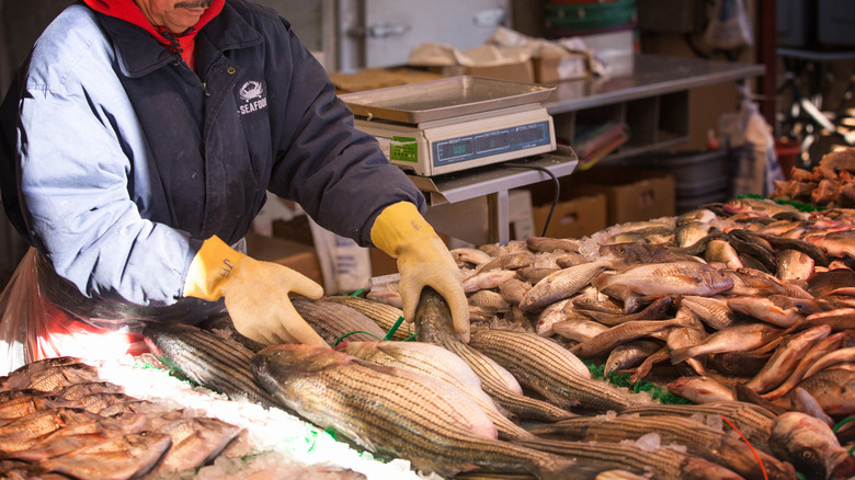 vendor prepping seafood at the Municipal Fish Market in Washington, D.C.