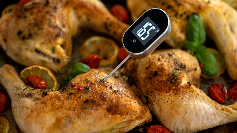 chicken meat thermometer