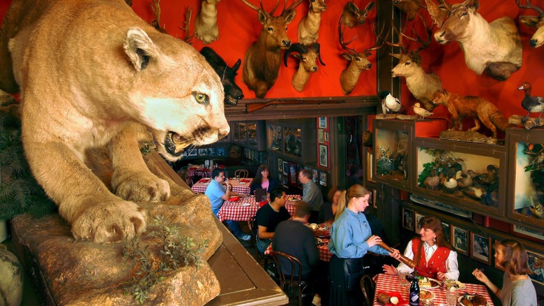 the Buckhorn Exchange interior dining room
