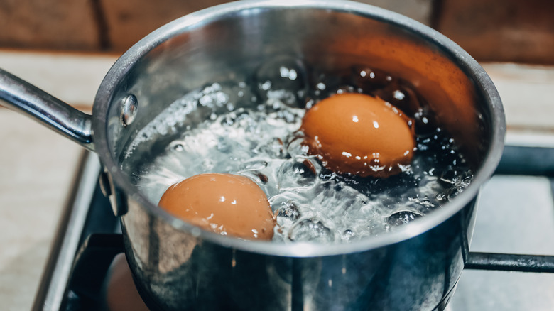 Two eggs in a pot with water