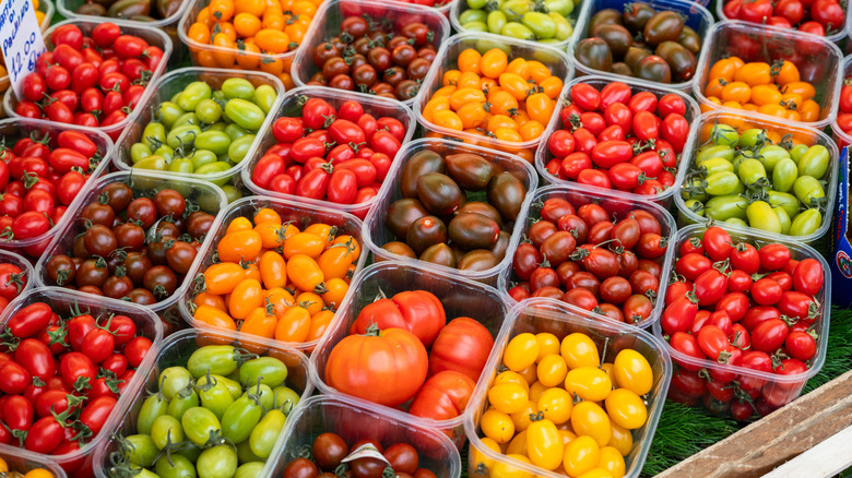 Variety of tomatoes in plastic tubs