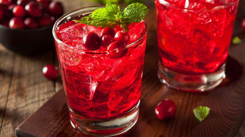 Vodka cranberry drink with mint