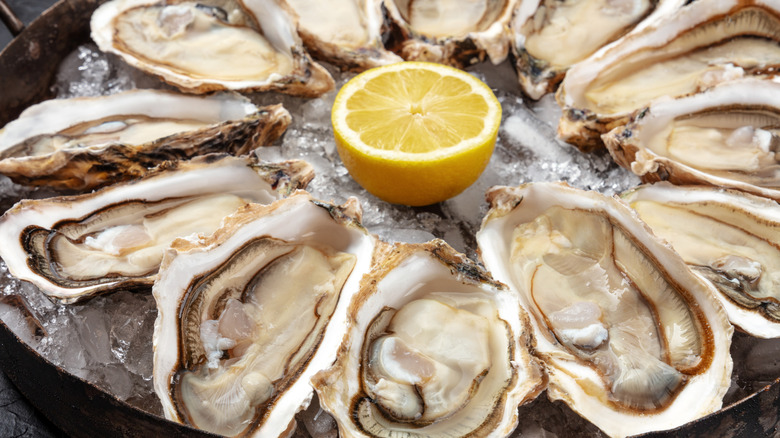 tray of oysters arranged in circle with lemon in center