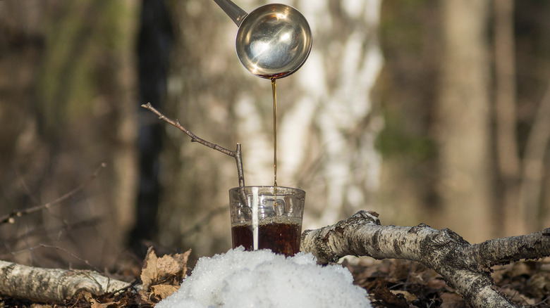 Sweet birch sap being poured into a glass