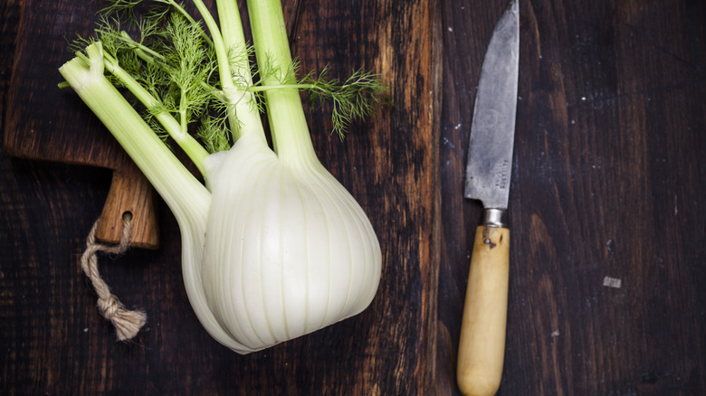 Fresh fennel on a wooden cutting board with a knife.