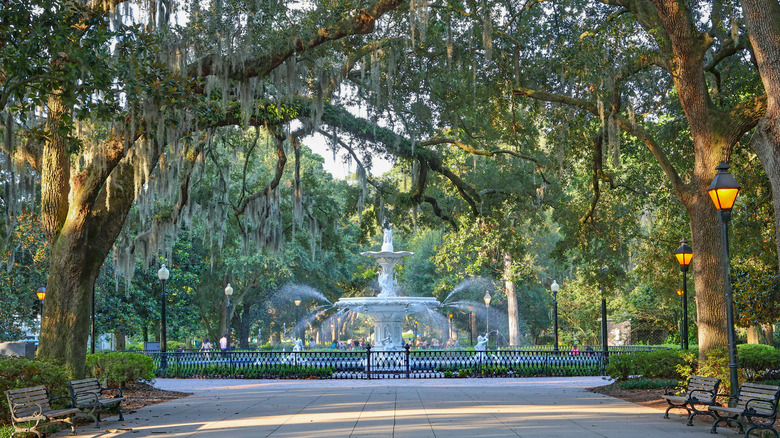 Savannah square