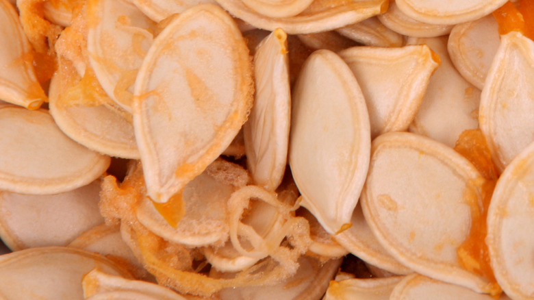 Close up of pumpkin seeds