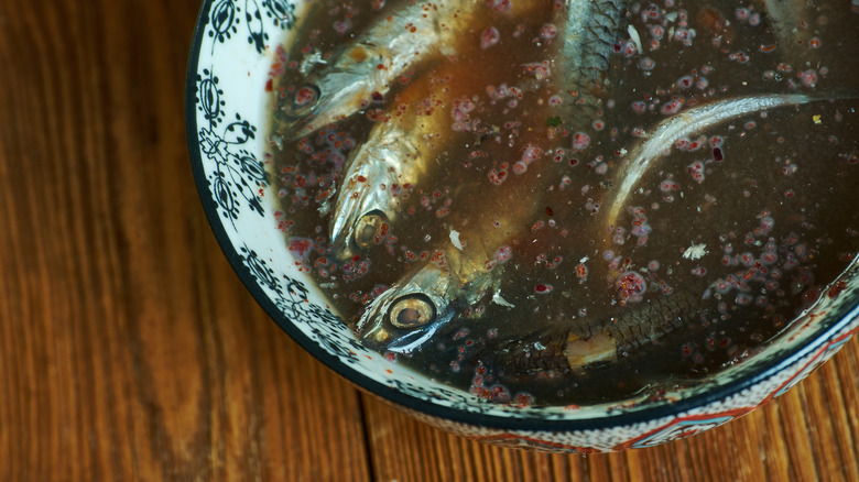 Fermented fish garum in bowl