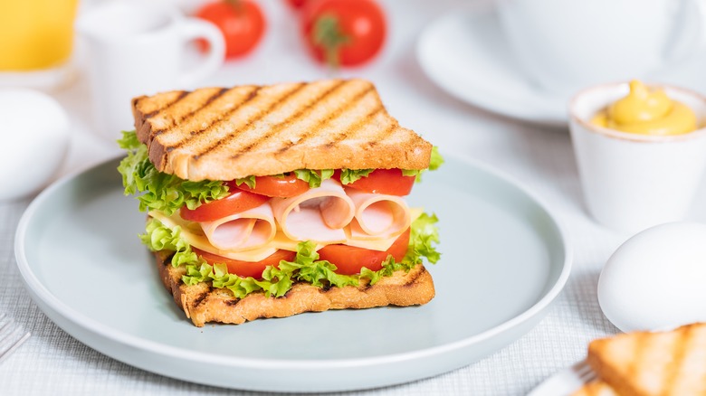 Toasted sandwich on white plate