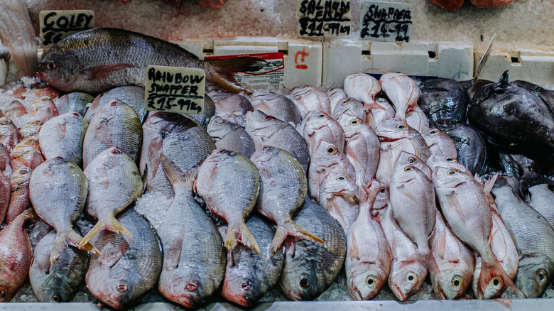 Fish stall with fish for sale