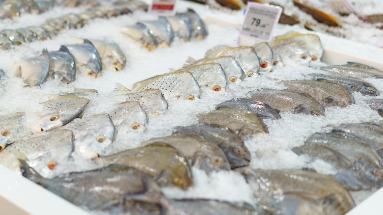 Frozen fish for sale in a stall