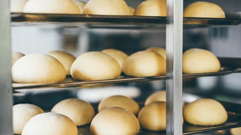 buns proofing on a commercial kitchen rack