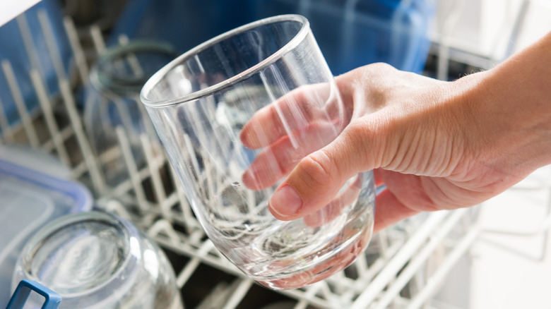 Person taking glass from dishwasher