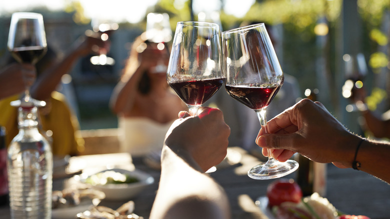 Wine toast at outdoor party