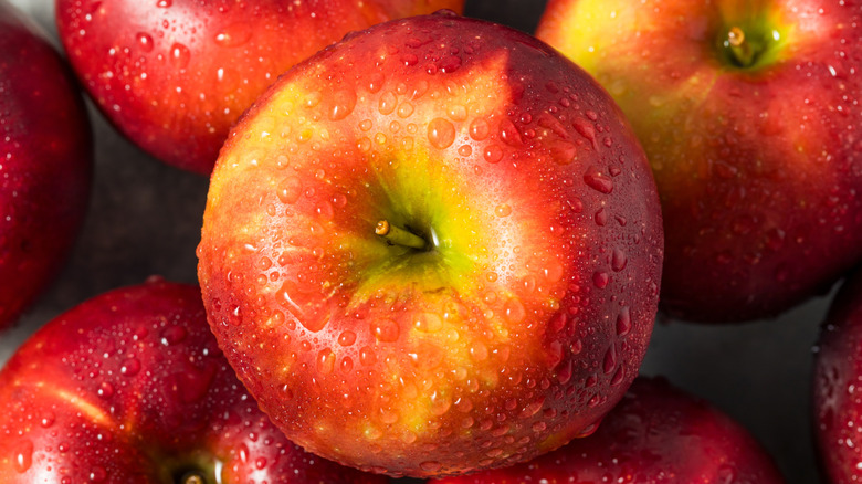 Close up of dew-covered apples